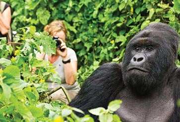 Rwanda
