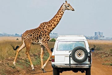 Short Excursions
