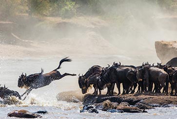 Tanzania