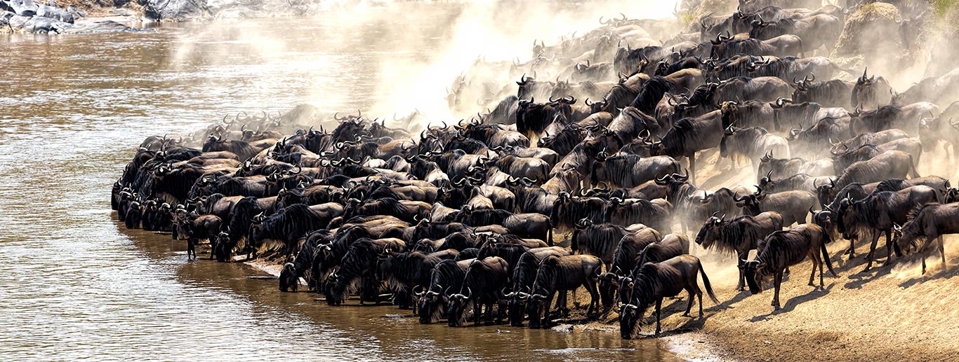 Masai Mara