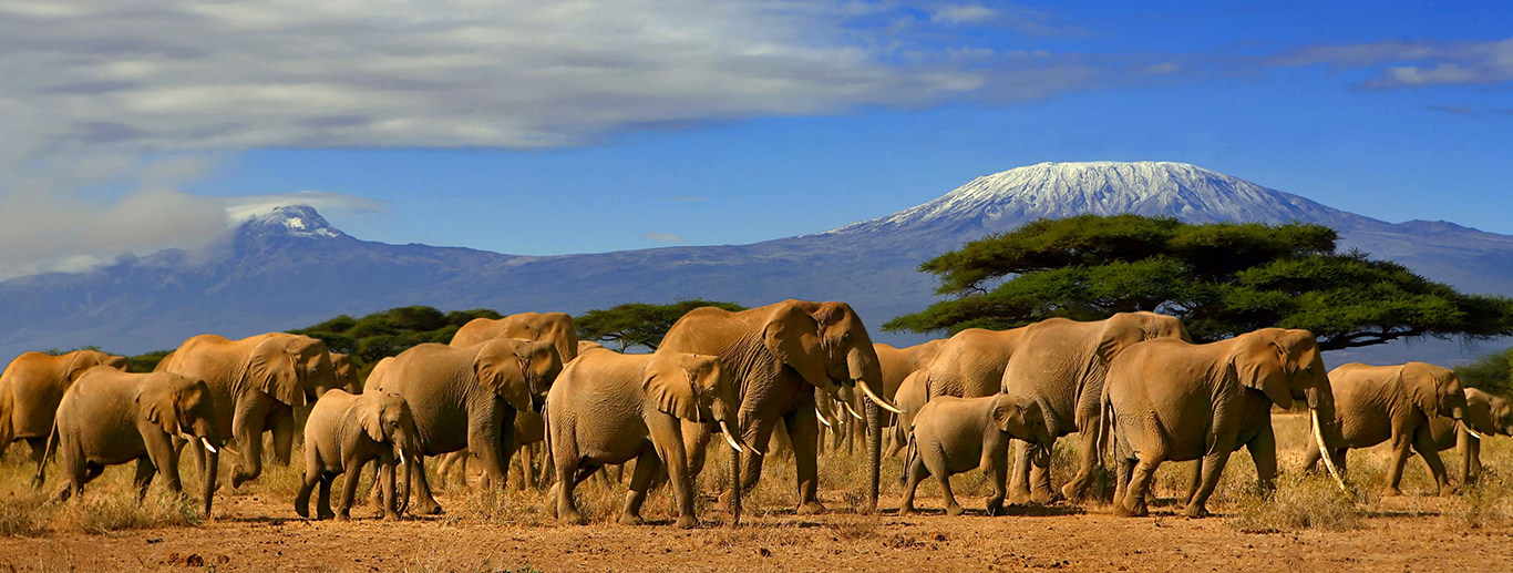 Amboseli