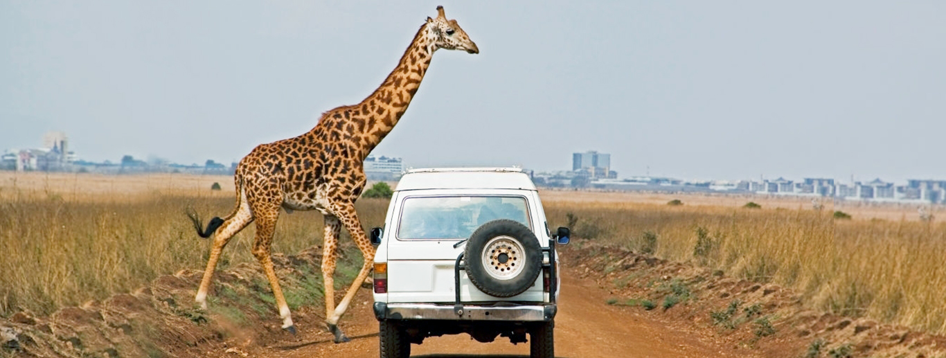 elite travel kenya