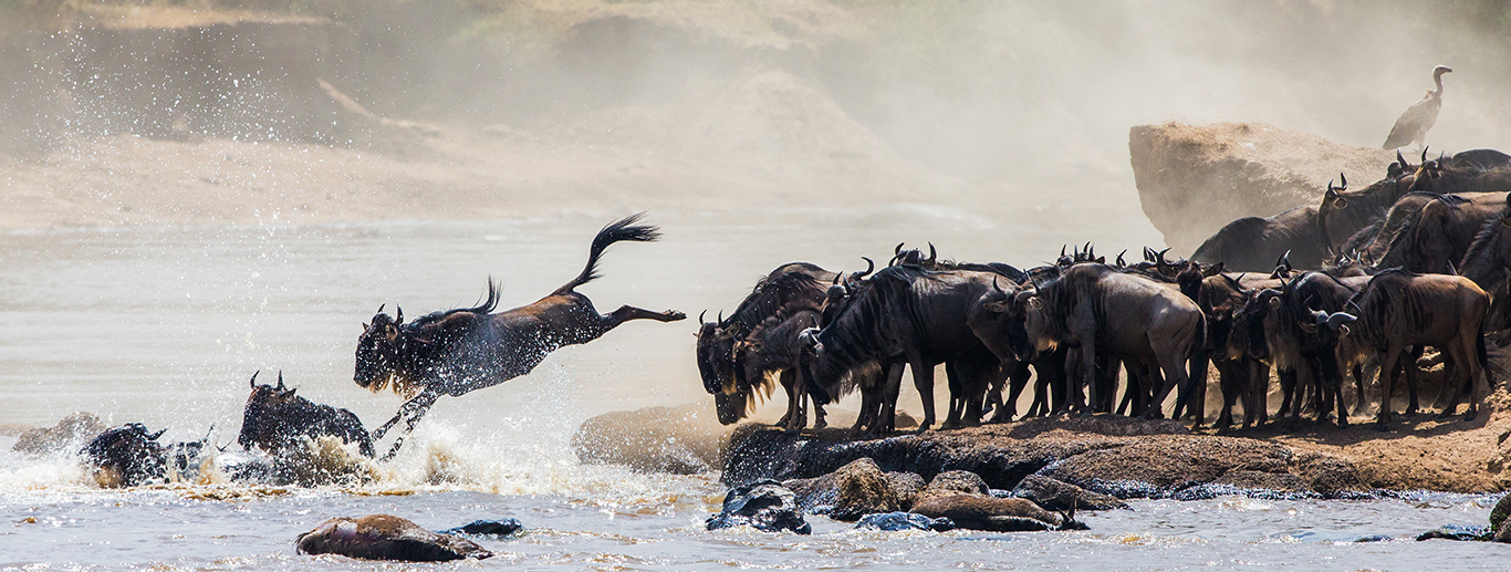 Tanzania