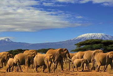 Amboseli