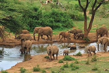 3 Days/2 Nights - Samburu Flying Package