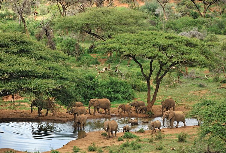 5 Days 4 Nights - Samburu Road Package