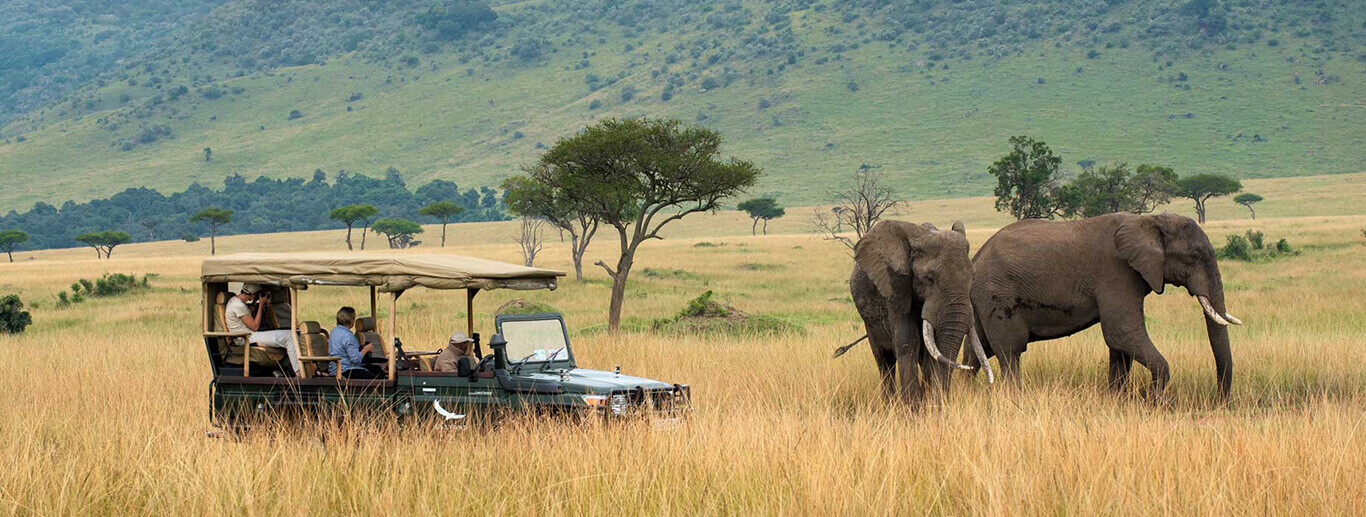 Sentrim Mara Camp, Masai Mara 2 Nights 3 days