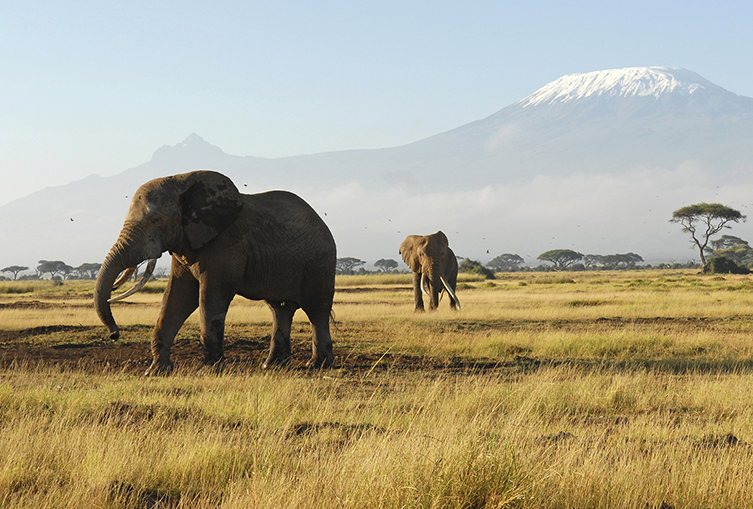Kibo Safari Camp, Amboseli - 3 Days 2Nights