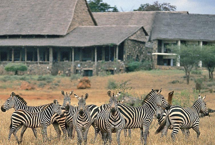 Kilaguni Serena Safari Lodge Air Package
