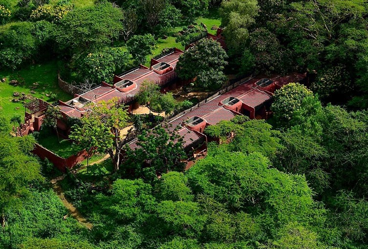 Amboseli Serena Safari Lodge Air Package