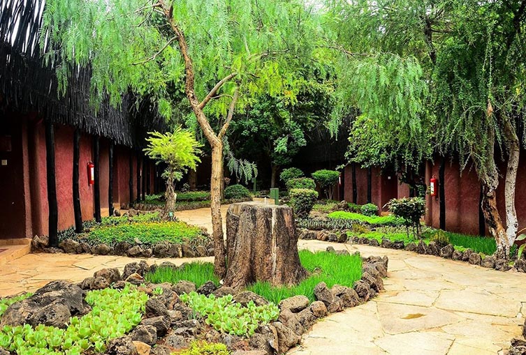Amboseli Serena Safari Lodge Air Package