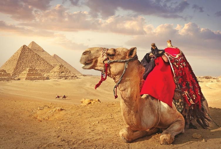 7 Days 6 Nights - Explore Egypt Program