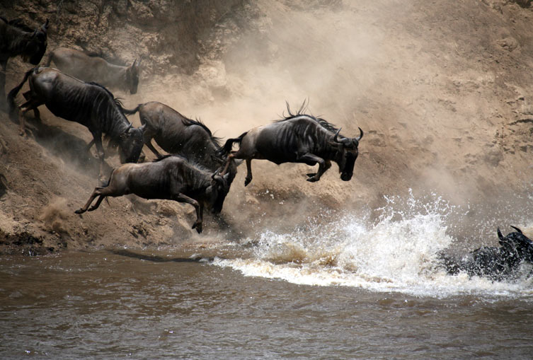 3 Days 2 Nights - Masai Mara Flying Safari