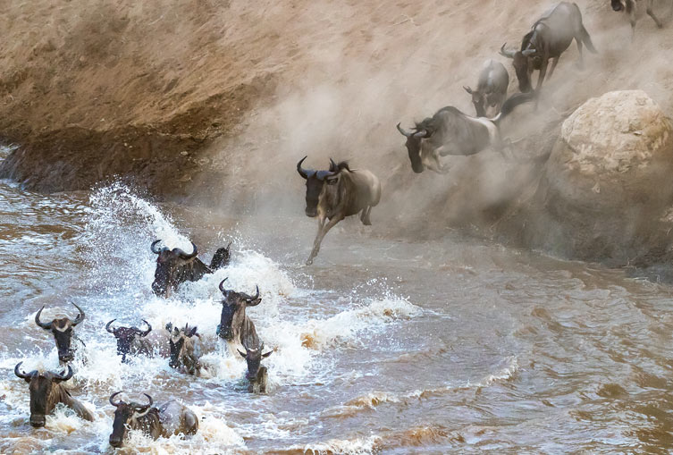 3 Days 2 Nights - Masai Mara Flying Safari