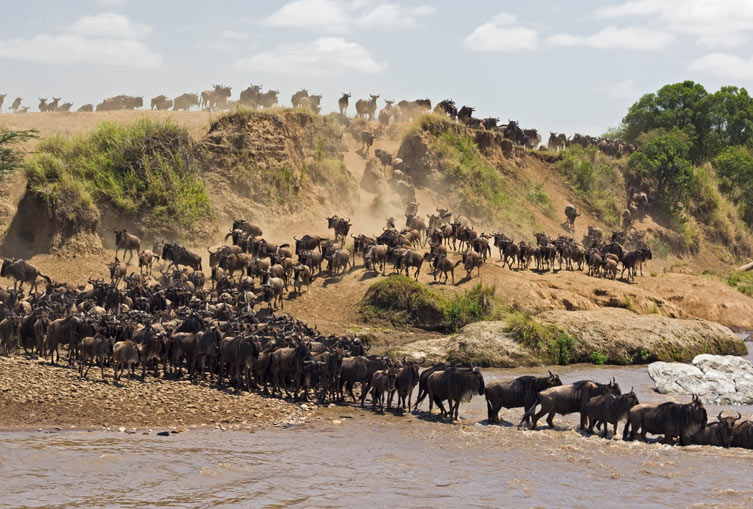 3 Days 2 Nights - Masai Mara Flying Safari
