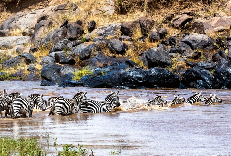 3 Days 2 Nights - Masai Mara Flying Safari